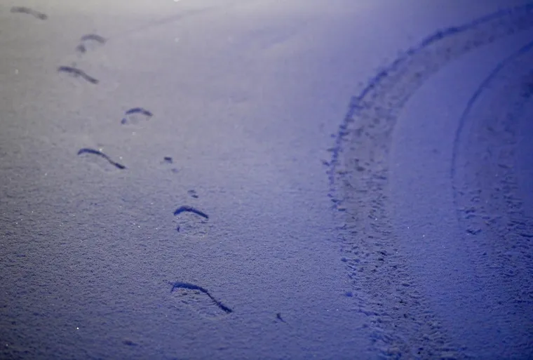 Snijeg je napokon pao i u Zagrebu! Pogledajte idilične slike grada