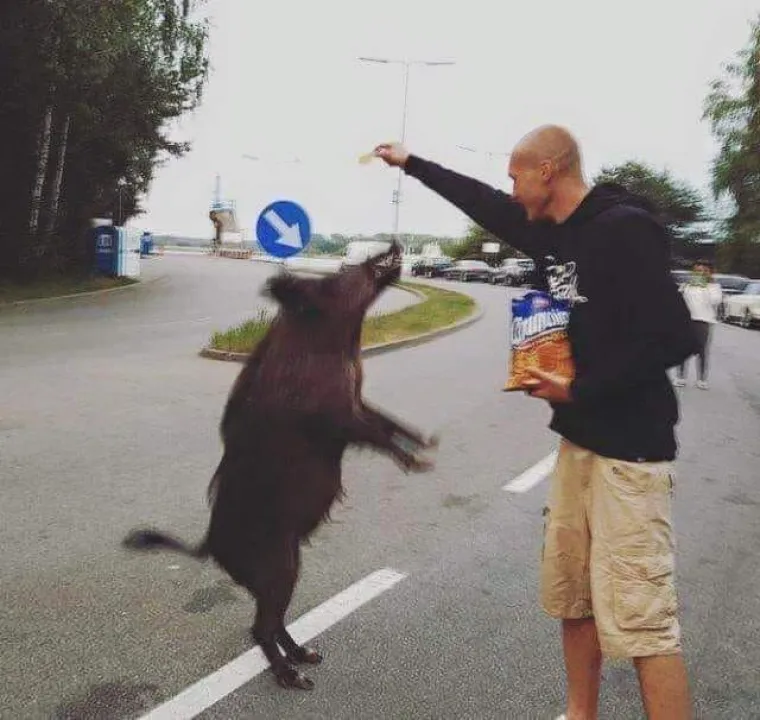 Eto ti veselja kada se Slaveni dokopaju društvenih mreža: 'Mi nismo država, mi smo stanje duha i uma'
