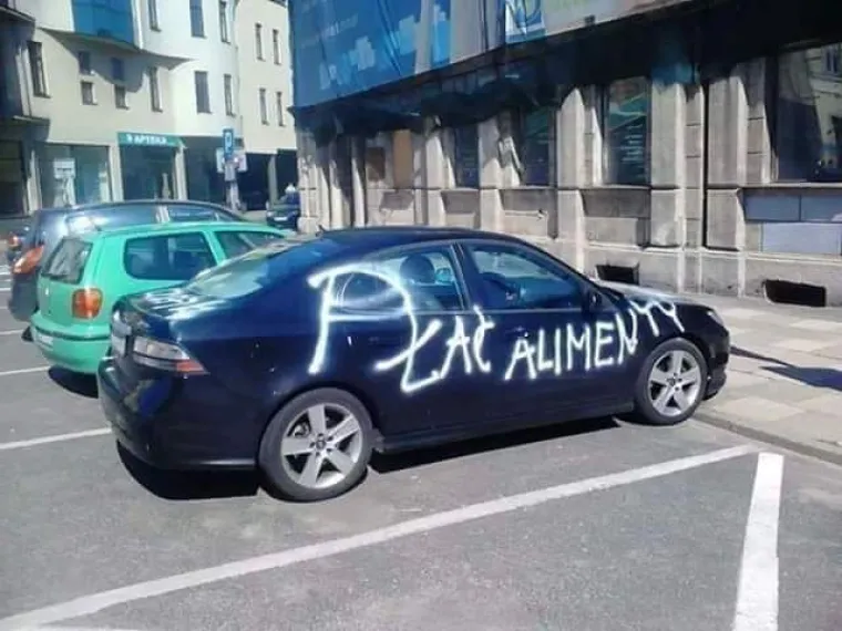 Eto ti veselja kada se Slaveni dokopaju dru&scaron;tvenih mreža: 'Mi nismo država, mi smo stanje duha i uma'