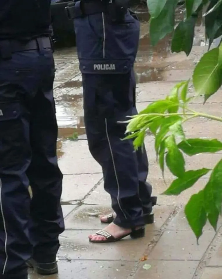 Eto ti veselja kada se Slaveni dokopaju dru&scaron;tvenih mreža: 'Mi nismo država, mi smo stanje duha i uma'