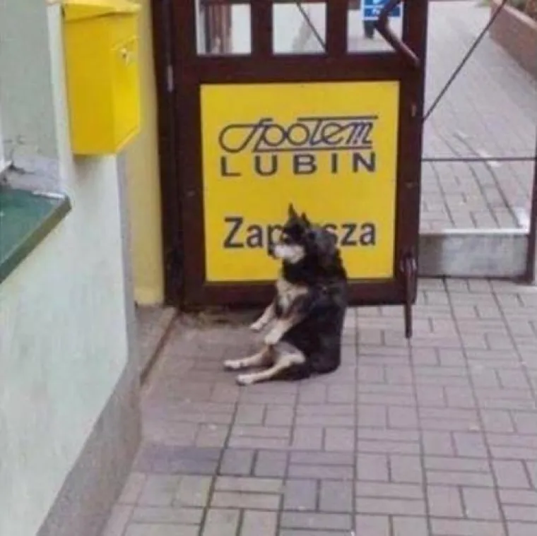 Eto ti veselja kada se Slaveni dokopaju dru&scaron;tvenih mreža: 'Mi nismo država, mi smo stanje duha i uma'