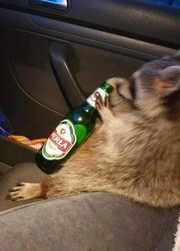 Eto ti veselja kada se Slaveni dokopaju dru&scaron;tvenih mreža: 'Mi nismo država, mi smo stanje duha i uma'