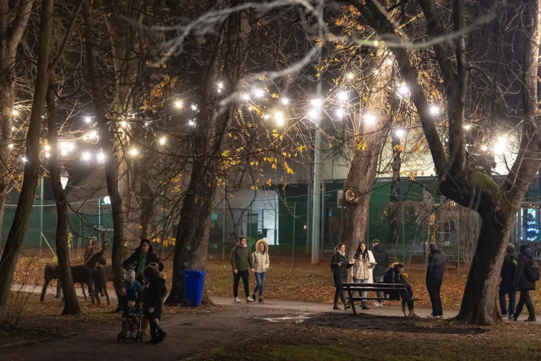 Ovaj grad imao je službeno najljepši advent u Hrvatskoj! Pogledajte raskoš koja je osvojila više od 27.000 glasova