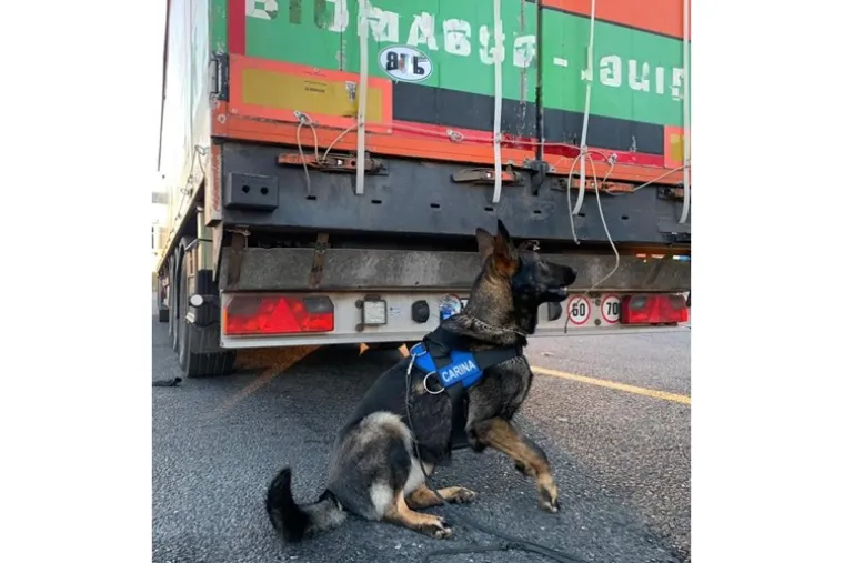 Zaplijenjeno preko 10 tona duhana duhanske melase za pu&scaron;enje u nargilama