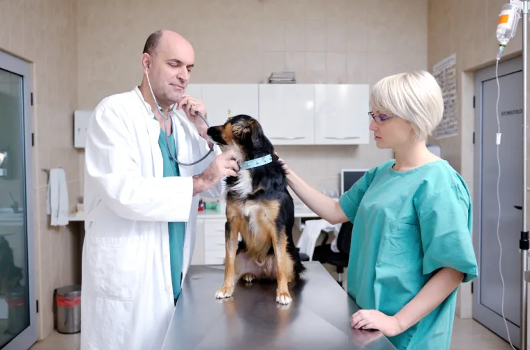 3. &quot;Rad bračnog para. Radila sam za veterinara koji je svoju ženu koja nije imala iskustva ni u čemu, postavio za voditelja ordinacije. Doživjela sam to više puta i svaki put bi to za mene bilo 0/10&quot;, dodala je čitateljica.