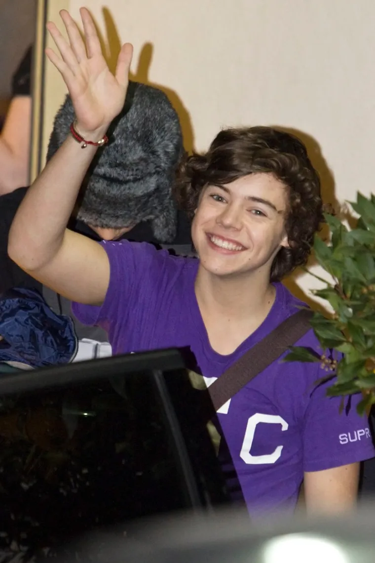 Harry Edward Styles rođen je u Redditchu u Engleskoj, a odrastao je u Holmes Chapelu. Glazbom se počeo baviti već u srednjoškolskom bendu White Eskimo. Sa samo 16 godina na nagovor svoje majke sudjelovao je u emisiji &quot;X Factor&quot;. Predstavio se s pjesmom Stevieja Wondera “Isn’t She Lovely”, ali nije daleko dogurao. Suci su ga s četvoricom ostalih kandidata - Zaynom Malikom, Liamom Payneom, Niallom Horanom i Louisom Tomlinsonom - ponovno vratili na pozornicu i predložili da se dalje natječu kao boy bend.