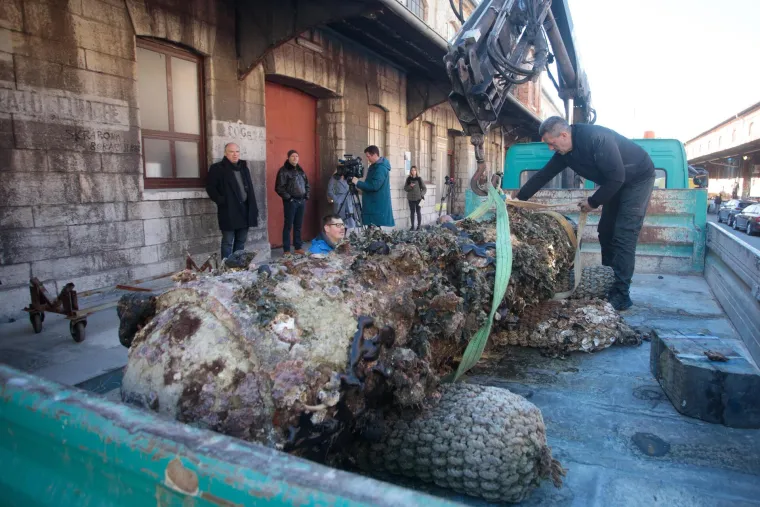U moru kod Vrsara u Istri izvađen torpedo iz razdoblja između dva svjetska rata