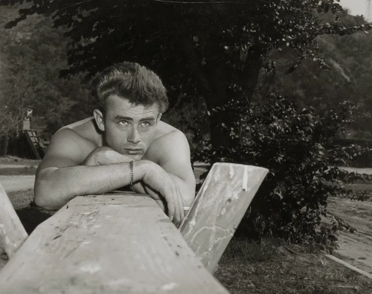 U knjizi se također otkriva kako je James Dean ušao i seksualne odnose s Waltom Disneyjem, a među njegovim ljubavnicima spominje se i glumac Steve McQueen.