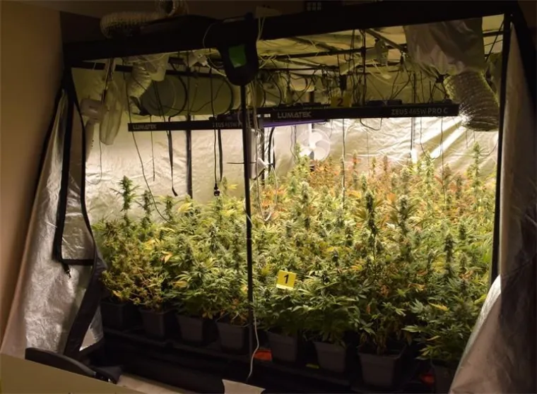 FOTO Slovencima i Hrvatu otkrili 4 laboratorija za uzgoj marihuane uz 'sofisticiranu opremu' kako je naziva policija