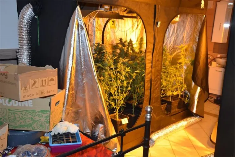 FOTO Slovencima i Hrvatu otkrili 4 laboratorija za uzgoj marihuane uz 'sofisticiranu opremu' kako je naziva policija