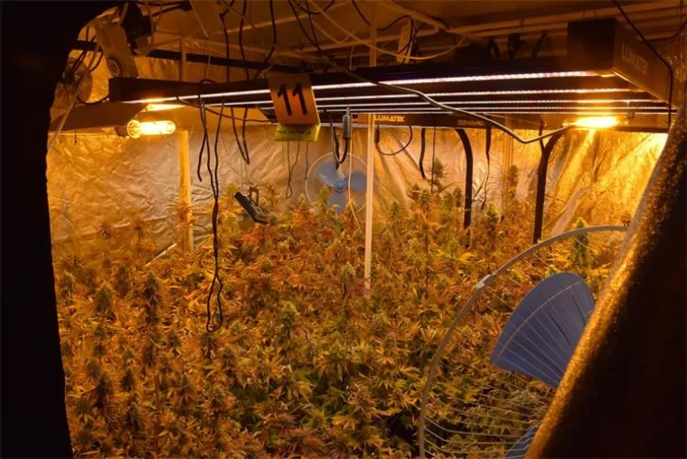 FOTO Slovencima i Hrvatu otkrili 4 laboratorija za uzgoj marihuane uz 'sofisticiranu opremu' kako je naziva policija