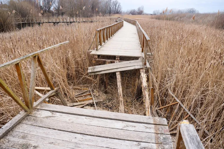 &Scaron;etnica u Kopačkom ritu u raspadu, izgrađena je prije samo &scaron;est godina