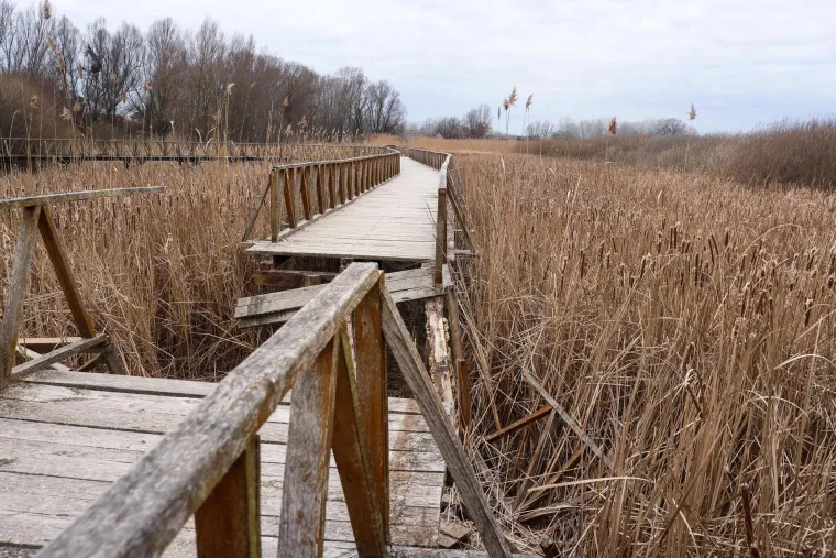 &Scaron;etnica u Kopačkom ritu u raspadu, izgrađena je prije samo &scaron;est godina
