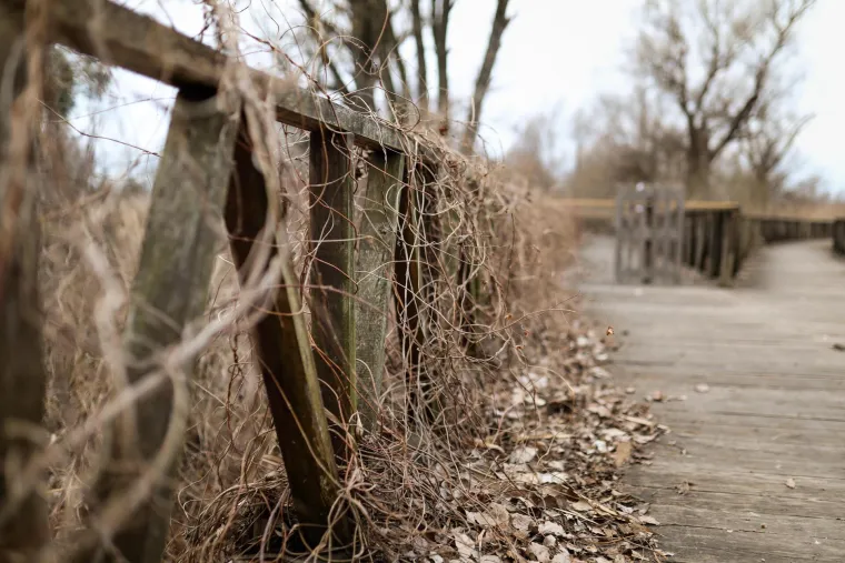 &Scaron;etnica u Kopačkom ritu u raspadu, izgrađena je prije samo &scaron;est godina