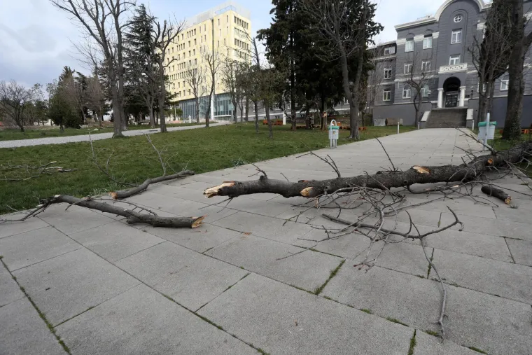Olujna bura u Rijeci ru&scaron;i stabla i semafore