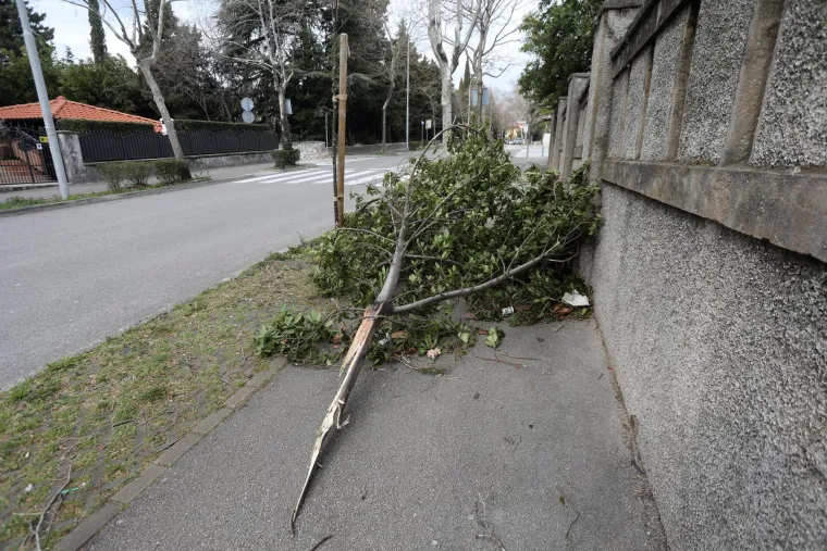 Olujna bura u Rijeci ru&scaron;i stabla i semafore