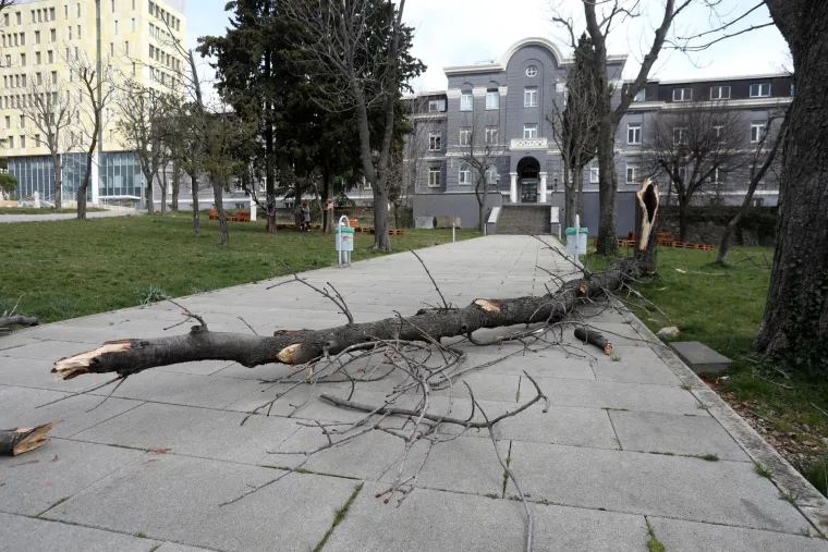 Olujna bura u Rijeci ru&scaron;i stabla i semafore