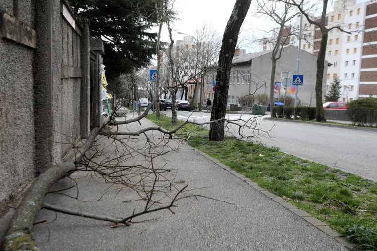 Olujna bura u Rijeci ru&scaron;i stabla i semafore