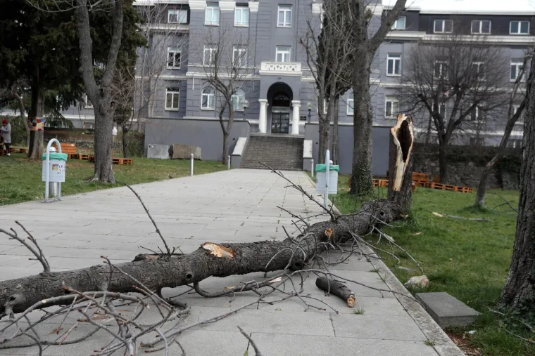 Olujna bura u Rijeci ru&scaron;i stabla i semafore