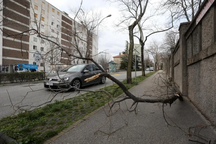 Olujna bura u Rijeci ru&scaron;i stabla i semafore
