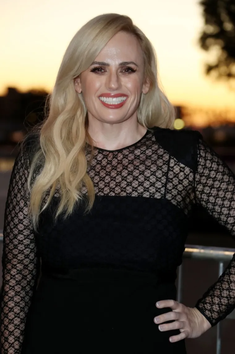 U slučaju da joj propadne glumačka karijera, Rebel Wilson je diplomirana pravnica pa se može baviti pravom. 