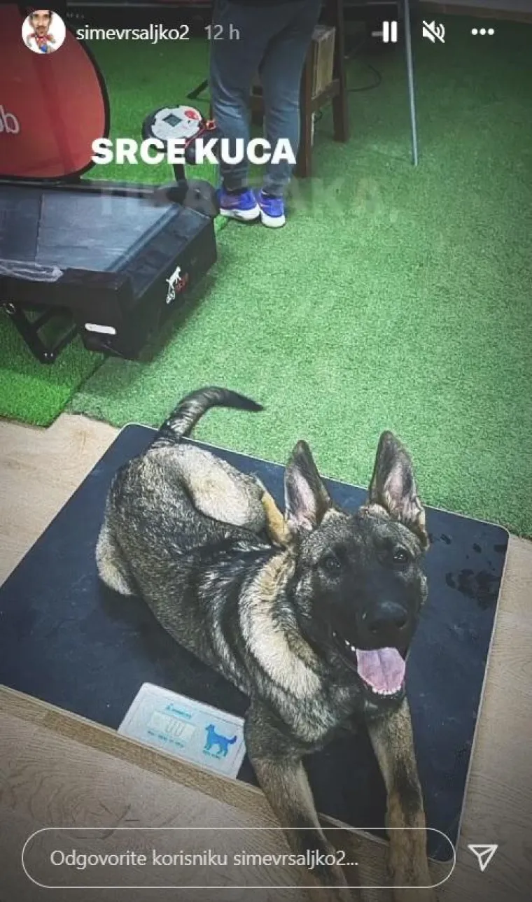 Još jedna poveznica između njih dvoje jest i pas koji se redovno pojavljuje u njihovim objavama, a upravo je s njim pozirala Kaja na svojim trudničkim fotkama.