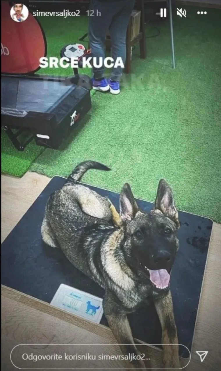 Slike tog psa podijelio je i Šime na svom Instagramu.