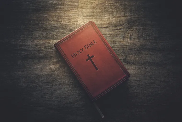 2. Njezino ime se ne spominje izravno u Bibliji: Lilith se u Bibliji pojavljuje samo jednom i to čak ni po imenu. U Izaiji 34:14, autor se poziva na &quot;noćnu pticu&quot;, &quot;noćno čudovište&quot; ili &quot;noćno stvorenje&quot;, ovisno o tome koji prijevod Biblije čitate. Kada se u Izaijinoj knjizi spominje podlo noćno stvorenje koje živi među ruševinama, biblijski znanstvenici vjeruju da se odlomak odnosi na Lilith. Kasniji prijevodi Biblije imaju njezino ime.
