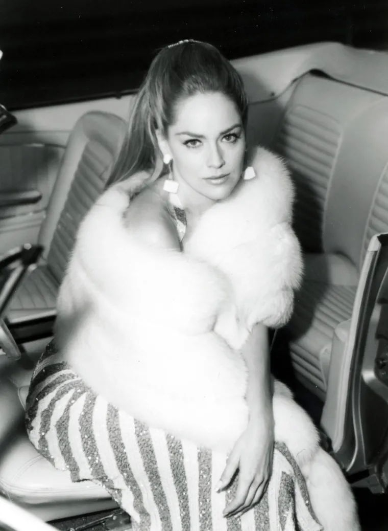 Sa samo sedamnaest godina osvojila je titulu Miss Pennsylvanije, koja joj je omogućila da postane Fordov model u reklamama i tiskovinama. Debitirala je 1980. godine u filmu Woodyja Allena &quot;Sjećanja na zvjezdanu prašinu&quot;, a 1985. godine glumila je u filmu &quot;Rudnici kralja Salomona&quot; uz Richarda Chamberlaina.