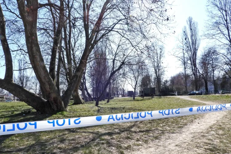 Vojska i vatrogasci izvlače letjelicu koja je pala u Zagrebu