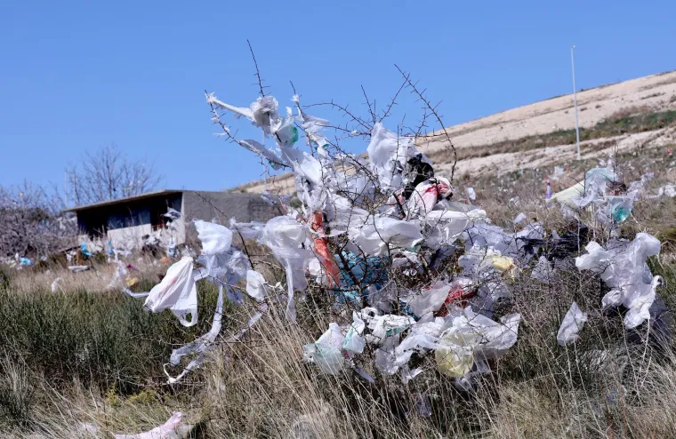 Smrad i ogromne količine plastičnih vrećica: Ovo nisu okićena božićna drvca, nego stabla nadomak Karepovca