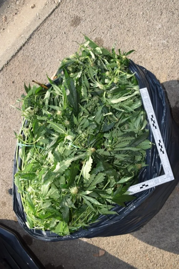 FOTOGALERIJA Otkrili 5 laboratorija za uzgoj marihuane u centru Zagreba i 106 kg u kombiju, PUZ sve objavio