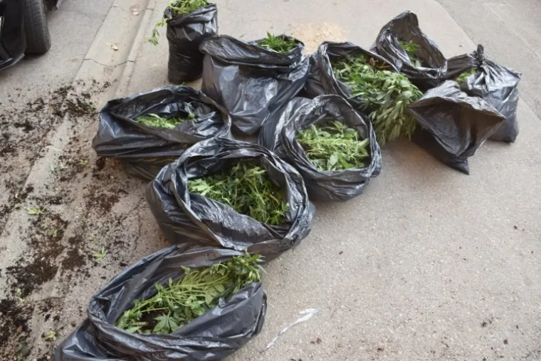 FOTOGALERIJA Otkrili 5 laboratorija za uzgoj marihuane u centru Zagreba i 106 kg u kombiju, PUZ sve objavio