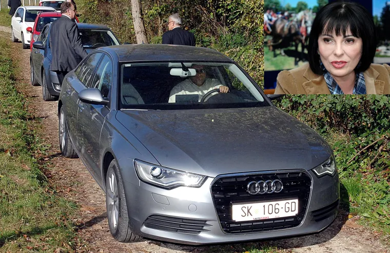 Dok je bila na čelu jedne od najsiromašnijih županija, Marina Lovrić Merzel je 2013. naručila vozilo sljedećih karakteristika: Automobil od 150 kW čija je godina proizvodnje 2013, obavezno automatski mjenjač s minimalno sedam brzina, a minimalni međuosovinski razmak mora biti 2900 mm te radiom s CD-om i MP3 playerom s minimalno 10 zvučnika. Takve detaljne specifikacije su se odnosile na Audi A6 koji je županica na kraju i dobila 