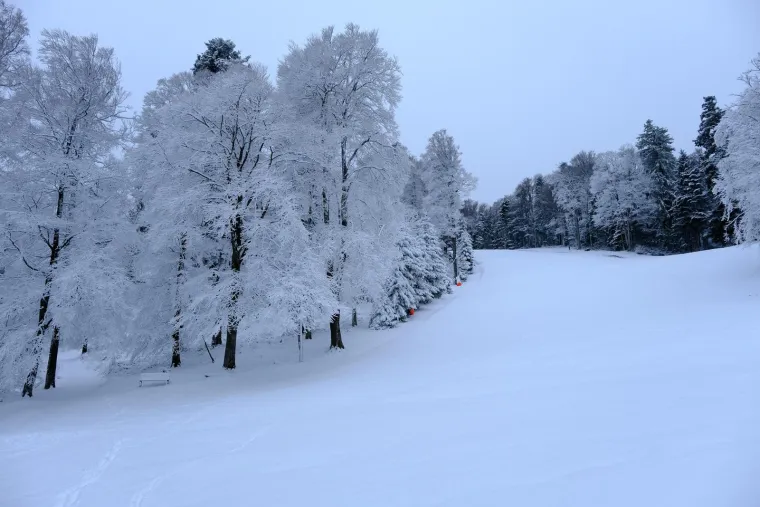 Snježna idila na Sljemenu: Početak je proljeća, a Sljeme se bijeli kao da smo usred zime