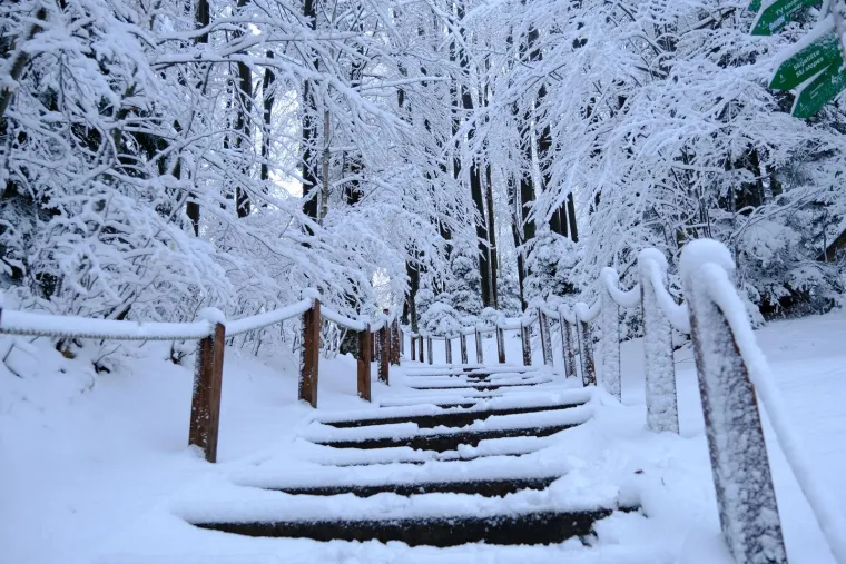 Snježna idila na Sljemenu: Početak je proljeća, a Sljeme se bijeli kao da smo usred zime