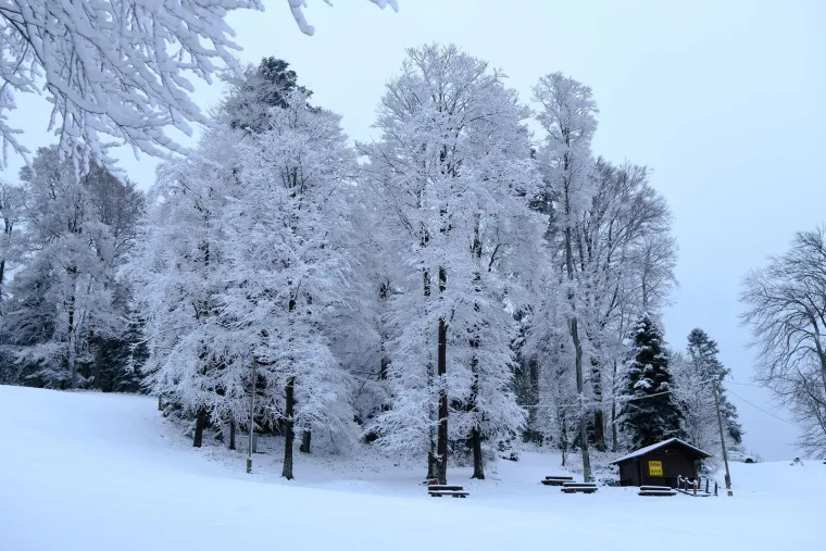 Snježna idila na Sljemenu: Početak je proljeća, a Sljeme se bijeli kao da smo usred zime