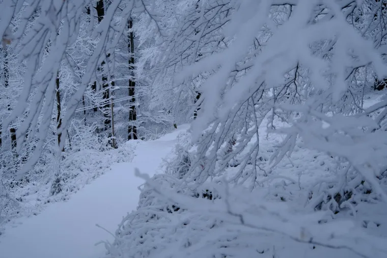 Snježna idila na Sljemenu: Početak je proljeća, a Sljeme se bijeli kao da smo usred zime