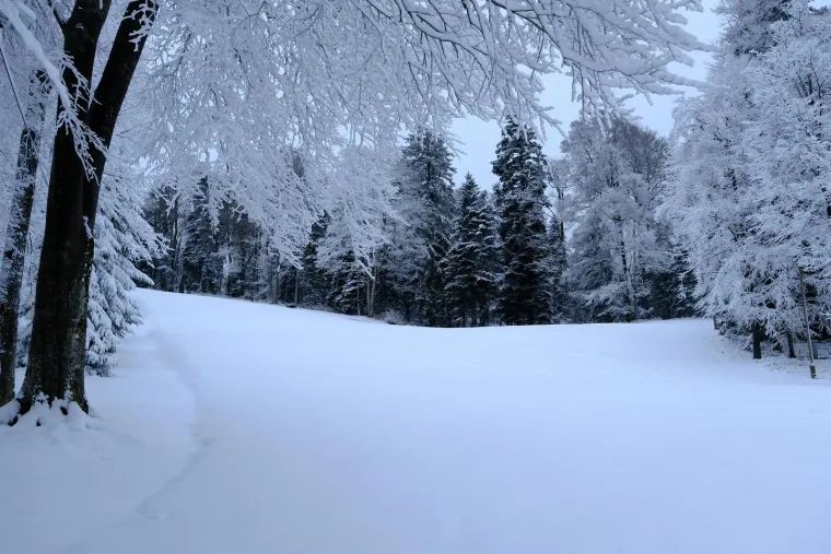 Snježna idila na Sljemenu: Početak je proljeća, a Sljeme se bijeli kao da smo usred zime