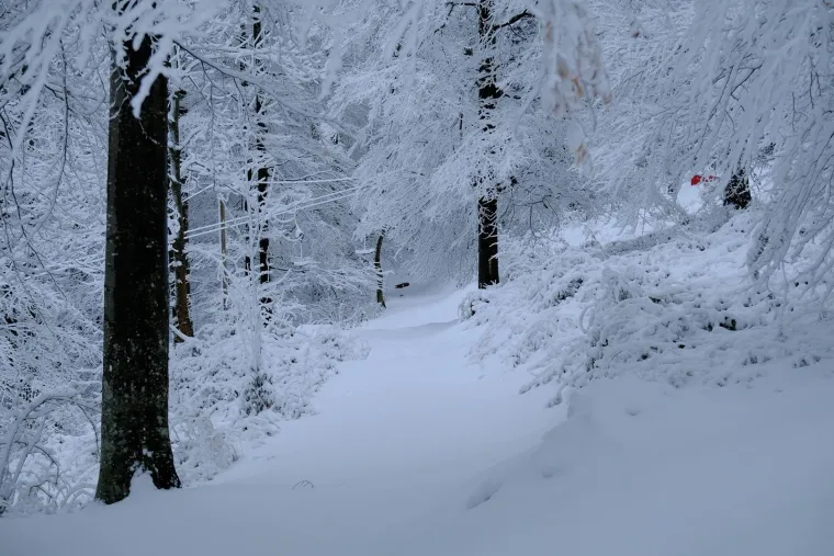 Snježna idila na Sljemenu: Početak je proljeća, a Sljeme se bijeli kao da smo usred zime