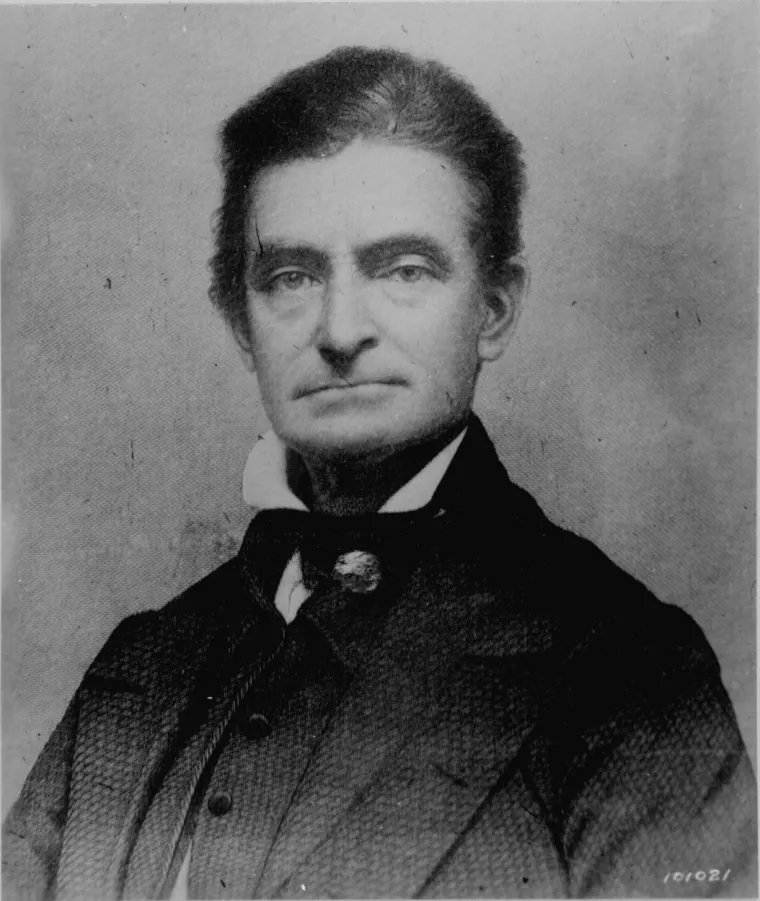 John Brown je bio američki revolucionarni pristalica ukidanja ropstva - abolicionista, koji je tokom 1850-ih zagovarao i sprovodio oružanu borbu kao sredstvo za ukidanje ropstva u SAD-u te je vodio znameniti !Prepad na Harper&apos;s Feri&quot; - pokušaj počinjanja robovskog ustanka na Jugu - koji se smatra jednim od važnih katalizatora kasnijeg građanskog rata. Brauna smatraju &quot;najkontroverznijim od svih Amerikanaca 19. stoljeća&quot; i &quot;prvim američkim domaćim teroristom&quot;. Braunov pokušaj 1859. da započne oslobodilački pokret među robovima u Harpers Ferryju u tadašnjoj Virginiji uzburkao je naciju. Suđeno mu je za izdaju, ubojstvo petorice pro-robovlasničkih Južnjaka i za poticanje pobune robova. Označen je krivim po svim točkama i obješen. 