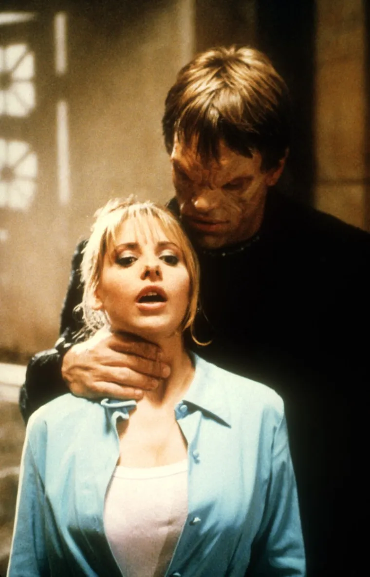 Na petu godi&scaron;njicu njihova braka Sarah Michelle je službeno uzela suprugovo prezime Prinze, no u poslovnom svijetu i dalje je oslovljavaju po djevojačkom prezimenu.