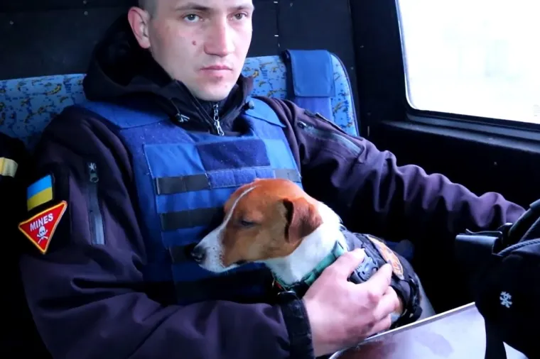 &quot;Tko je dobar dečko? Patron, on je na ozbiljnom zadatku! Revno pomaže pirotehničarima u Černjihivskoj regiji da očiste zemlju od ruskih &apos;darova&apos;, napisali su u opisu videa. 