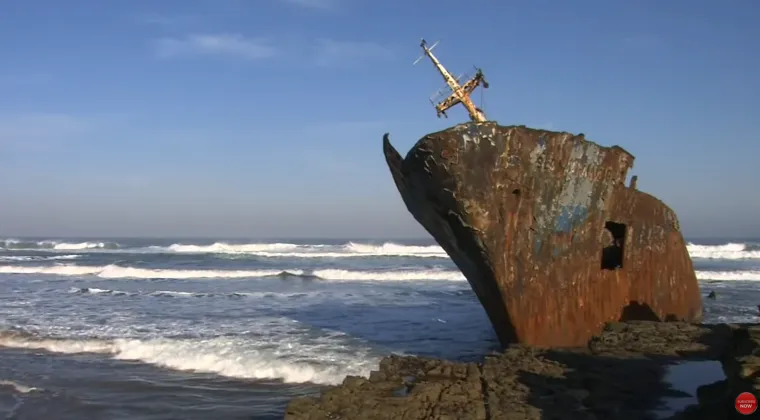 1. Second Beach u Port St. Johnsu inače je ugodno odredište za odmor na veličanstvenoj obali Transkei u Južnoj Africi. Obitelji ovdje ljetuju već desetljećima. Međutim, posljednjih godina Second Beach je stekao reputaciju najopasnije plaže u Južnoj Africi. Uz osam smrtonosnih napada morskih pasa u pet godina na surfere i plivače, Second Beach bi mogla biti najopasnija plaža na svijetu zbog morskih pasa. Vrsta za koju se tvrdi da je odgovorna za smrtonosne incidente na plaži Second Beach je morski pas Zambezi, poznat kao morski pas u drugim dijelovima svijeta. Ove morske nemani mogu narasti do 2,5 metara i imaju reputaciju agresivnog ponašanja. Poznato je da zagrizu gotovo sve što nađu u vodi, slično kao i tigrasti morski psi.