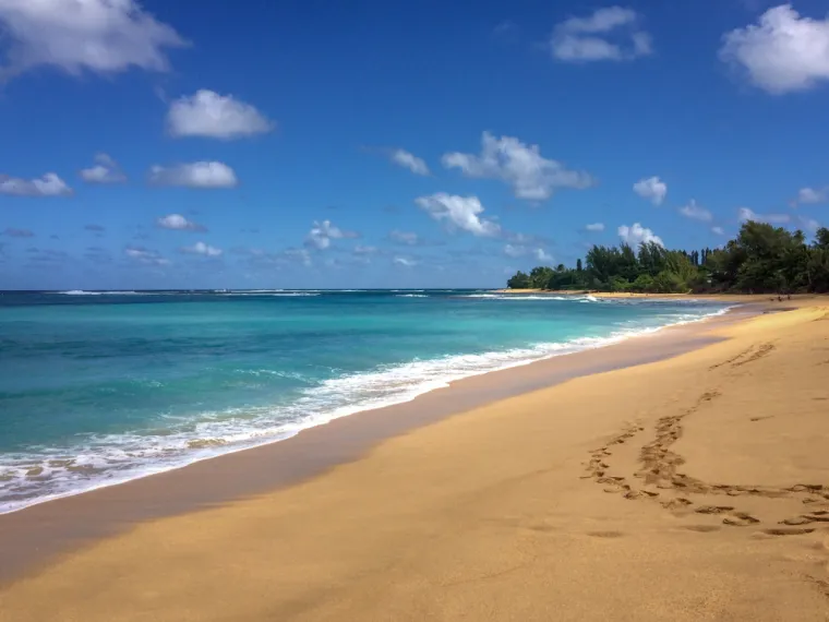 5. Plaža Makua, također je poznata kao &quot;Plaža tunela&quot;, na toj je plaži 13-godišnja Bethany Hamilton veslala na svojoj dasci za surfanje kako bi uhvatila nekoliko valova s ​​prijateljima krajem listopada 2013. Nakon jednog određenog vala, napao ju je veliki morski pas, dužine od  4 metra, podigao ju je iz dubine i  odgrizao joj lijevo rame. Ovo nije bio prvi šokantan susret s morskim psom na ovoj plaži, koja je godinama bila poznata po napadima velikih morskih pasa. Međutim, bio je daleko najpoznatiji. Napad i praćenje međunarodnih medija učinili su Hamilton međunarodnom slavnom osobom, a prozvana je &quot;Djevojkom s morskim psom&quot;. Brza reakcija njezinih prijatelja, da joj zaustave krvarenje i gubitak krvi te liječnika u obližnjoj bolnici od strane sposobnog medicinskog osoblja, spasilo je njezin život tog jutra. Hamilton je postala vrhunska profesionalna surferica, supruga i majka koja je napisala knjigu o ovom strašnom događaju koji je mogao proći tragično.