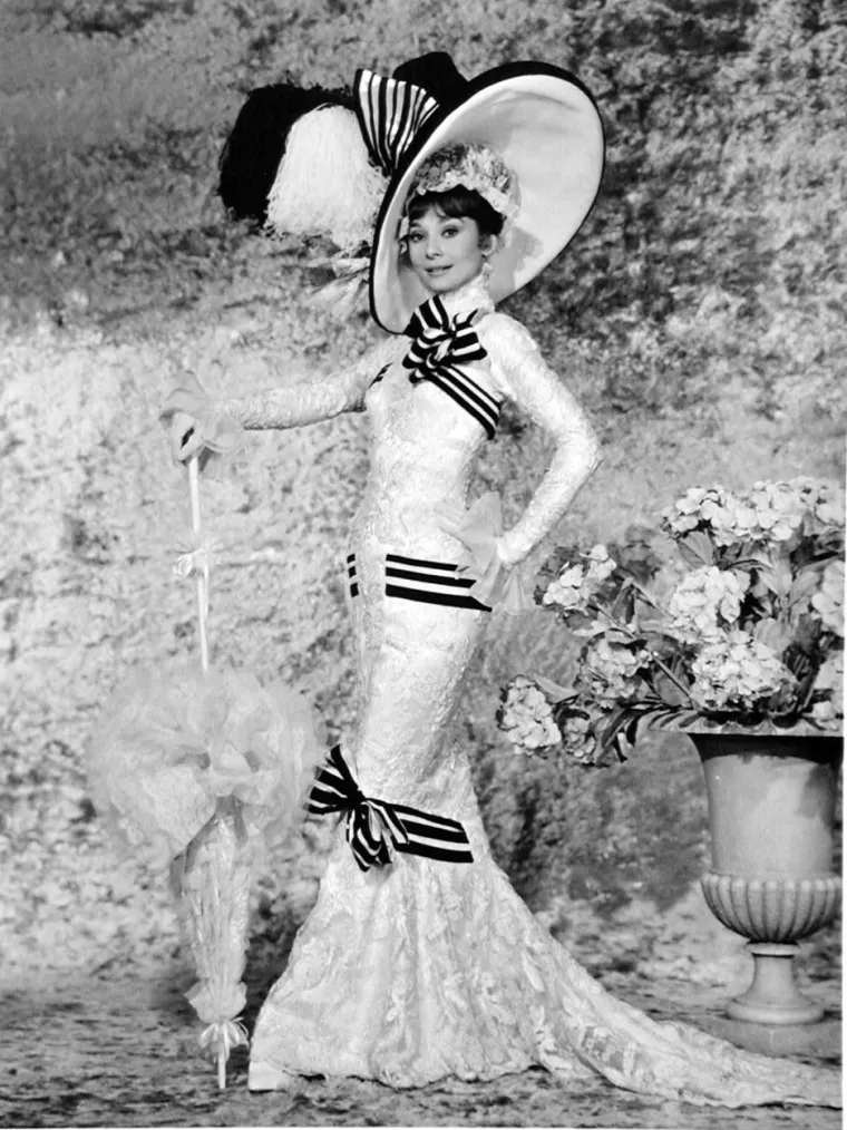 Audrey su dvije filmske uloge obilježile karijeru - ona Holly Golightly u filmu &quot;Doručak kod Tiffanyja&quot; i uloga Elize Doolittle u filmu &quot;Moja slatka dama&quot;. Nakon što se pojavila u trileru &quot;Sama u tami&quot;, Hepburn je otišla u polumirovinu. Kad se razvela od Ferrera 1968., udala se za istaknutog talijanskog psihijatra Andrea Dottija i odlučila se usredotočiti na svoju obitelj, a ne na karijeru. Glumi se vratila tek 1976., kada je glumila u filmu &quot;Robin i Marian&quot;. Pojavila se u još nekoliko filmova, a 1988. započela je novu karijeru kao posebna ambasadorica dobre volje za UNICEF. Posvetila se humanitarnom radu, posjećujući glađu pogođena sela u Latinskoj Americi, Africi i Aziji, sve do neposredno prije smrti od raka 1993. Kasnije te godine posthumno je primila humanitarnu nagradu Jean Hersholt od Akademije filmskih umjetnosti i znanosti.