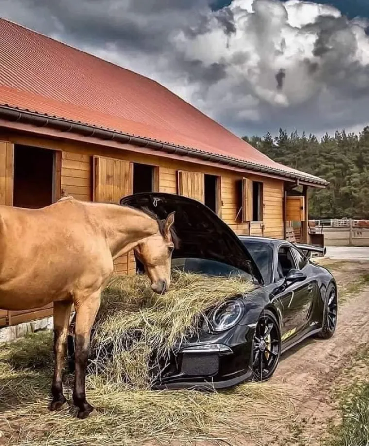 &Scaron;to znaju stranci kako Balkanci paze, krase i koriste vozila svoja: Malo je reći da su sljedeći prizori njima nadrealni