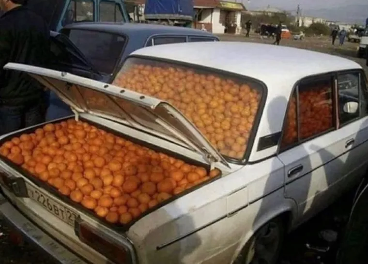 &Scaron;to znaju stranci kako Balkanci paze, krase i koriste vozila svoja: Malo je reći da su sljedeći prizori njima nadrealni