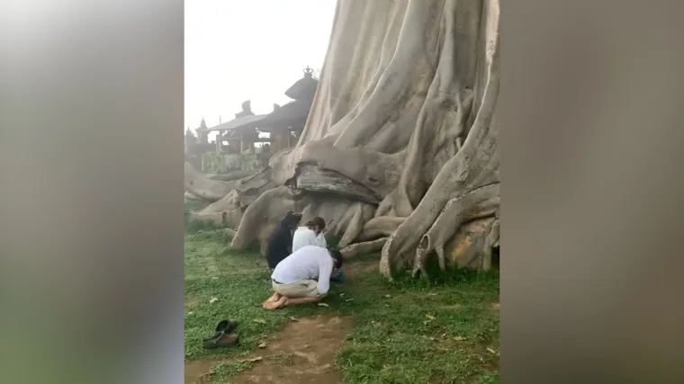 Prošle godine rusku influencericu Alesyu Kafelnikovu su napali nakon što je objavila fotografiju na kojoj leži gola na slonu na Baliju. Slike su naišle na kritike balijske vlasti, rekavši da &quot;sigurno ne ispunjava norme koje promoviramo&quot;. 