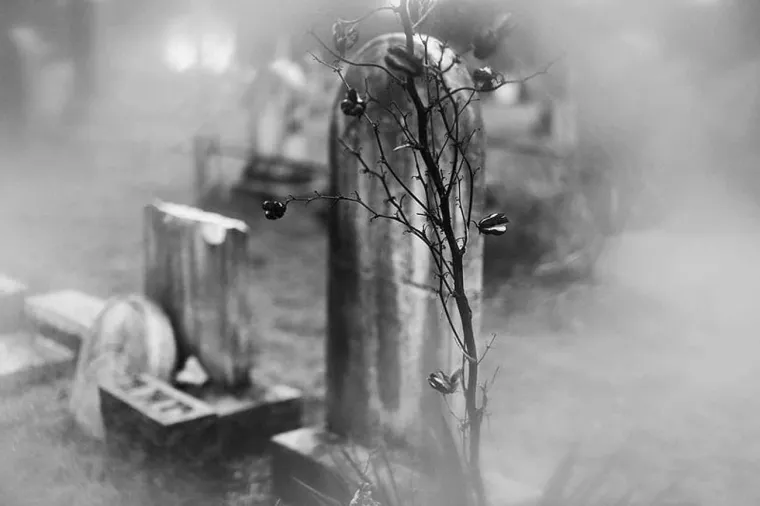 12.Čujete neobjašnjive glasove:
Haluciniranje glasova je čest znak shizofrenije, stoga nemojte automatski pretpostaviti paranormalno ako to redovito doživljavate. Čini se da glasovi koje čuju shizofreničari govore iz glave pojedinca, dok glasovi koje stvaraju duhovi obično zvuče kao da je netko drugi u sobi i razgovara s vama.
Stvar je u tome što vam duh možda niti ne razgovara izravno. Možda duh misli da ste netko drugi. Ili, može biti da samo čujete odjek prošlog događaja koji je psihički nabijen; drugim riječima, uopće se ne događa izravna komunikacija, a vi nenamjerno prisluškujete razgovor koji se dogodio davno.
Ovo je fenomen poznat kao rezidualno proganjanje. Uglavnom, nastaje kada se glas ili priviđenje &quot;snimi&quot; u atmosferu i pojavi se kasnije. Preostalo proganjanje je bezopasno, iako je jezivo.
